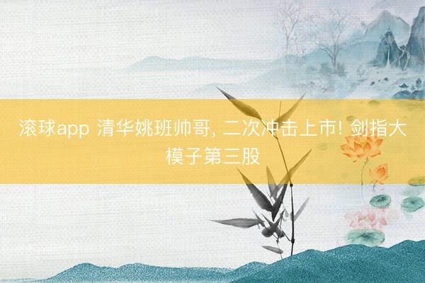 滚球app 清华姚班帅哥， 二次冲击上市! 剑指大模子第三股