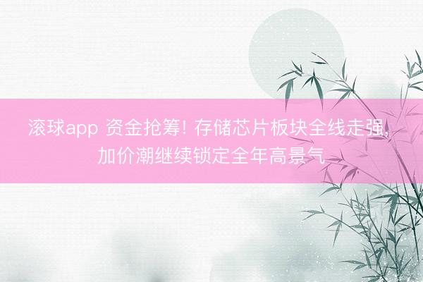滚球app 资金抢筹! 存储芯片板块全线走强， 加价潮继续锁定全年高景气