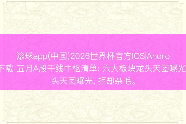 滚球app(中国)2026世界杯官方IOS|Android手机app下载 五月A股干线中枢清单: 六大板块龙头天团曝光， 拒却杂毛。