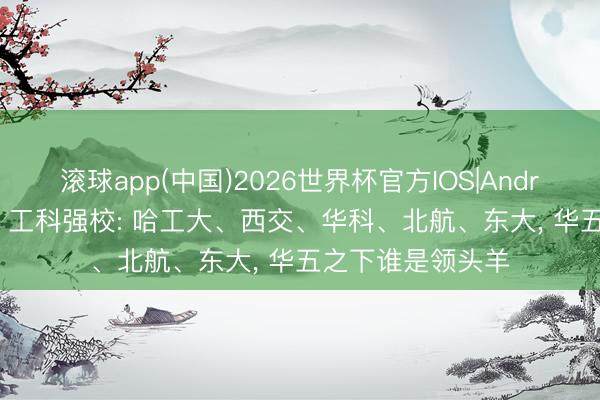 滚球app(中国)2026世界杯官方IOS|Android手机app下载 工科强校: 哈工大、西交、华科、北航、东大， 华五之下谁是领头羊