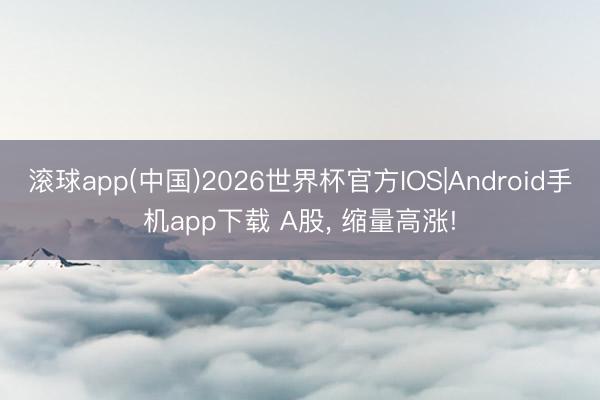 滚球app(中国)2026世界杯官方IOS|Android手机app下载 A股， 缩量高涨!