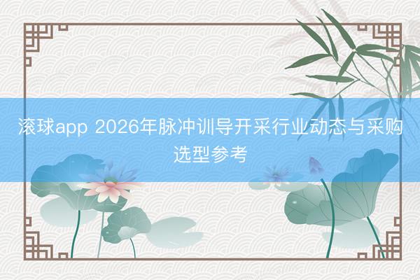 滚球app 2026年脉冲训导开采行业动态与采购选型参考