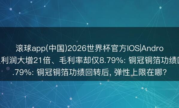 滚球app(中国)2026世界杯官方IOS|Android手机app下载 一季报利润大增21倍、毛利率却仅8.79%: 铜冠铜箔功绩回转后， 弹性上限在哪?