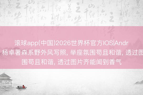 滚球app(中国)2026世界杯官方IOS|Android手机app下载 杨卓著森系野外风写照， 举座氛围苟且和谐，<a href=
