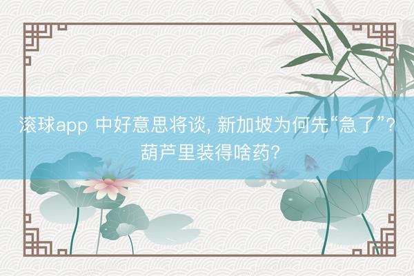 滚球app 中好意思将谈， 新加坡为何先“急了”? 葫芦里装得啥药?