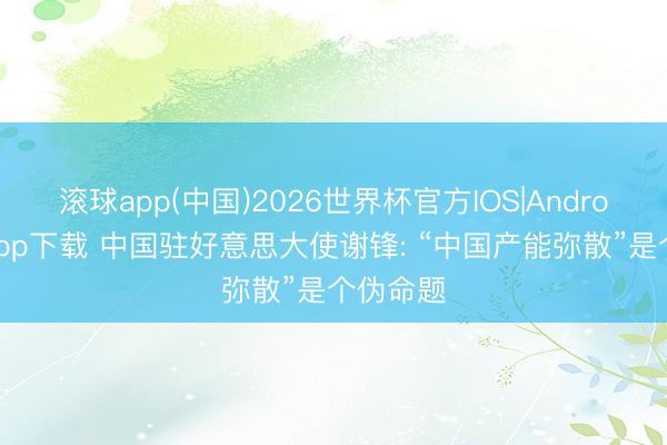 滚球app(中国)2026世界杯官方IOS|Android手机app下载 中国驻好意思大使谢锋: “中国产能弥散”是个伪命题