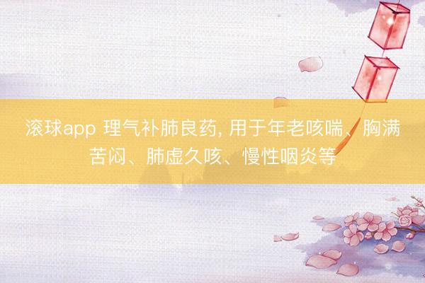 滚球app 理气补肺良药， 用于年老咳喘、胸满苦闷、肺虚久咳、慢性咽炎等