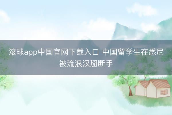 滚球app中国官网下载入口 中国留学生在悉尼被流浪汉掰断手