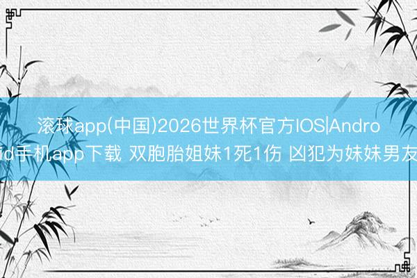滚球app(中国)2026世界杯官方IOS|Android手机app下载 双胞胎姐妹1死1伤 凶犯为妹妹男友