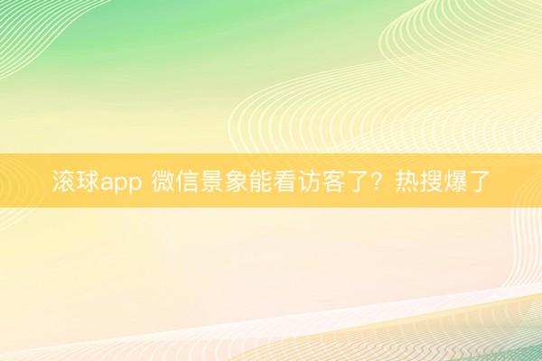 滚球app 微信景象能看访客了？热搜爆了
