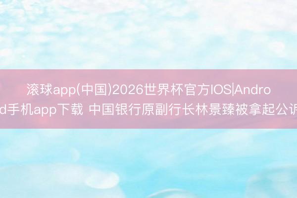 滚球app(中国)2026世界杯官方IOS|Android手机app下载 中国银行原副行长林景臻被拿起公诉