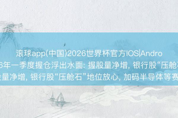 滚球app(中国)2026世界杯官方IOS|Android手机app下载 险资2026年一季度握仓浮出水面: 握股量净增， 银行股“压舱石”地位放心， 加码半导体等赛说念