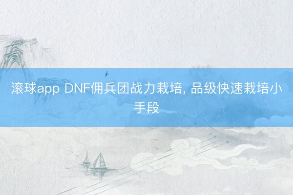 滚球app DNF佣兵团战力栽培， 品级快速栽培小手段