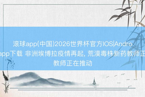 滚球app(中国)2026世界杯官方IOS|Android手机app下载 非洲埃博拉疫情再起， 荒漠毒株新药教师正在推动