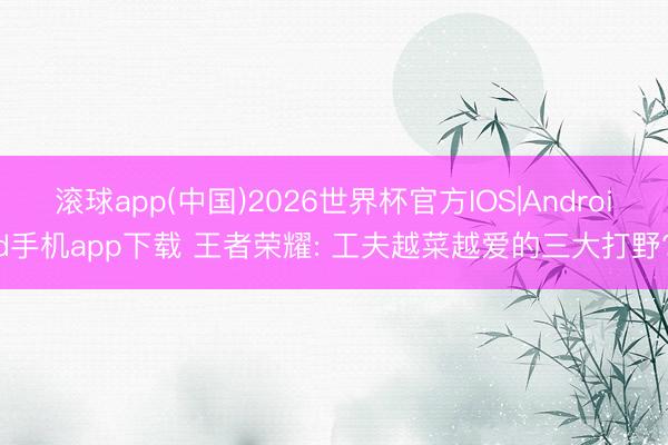滚球app(中国)2026世界杯官方IOS|Android手机app下载 王者荣耀: 工夫越菜越爱的三大打野?