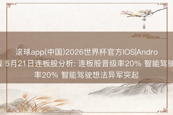 滚球app(中国)2026世界杯官方IOS|Android手机app下载 5月21日连板股分析: 连板股晋级率20% 智能驾驶想法异军突起