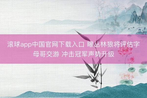 滚球app中国官网下载入口 曝丛林狼将评估字母哥交游 冲击冠军声势升级