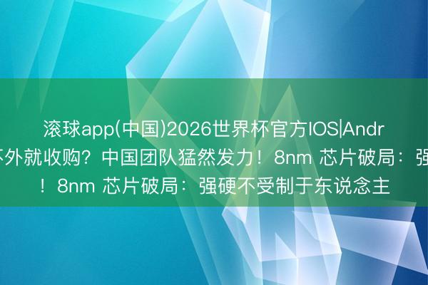 滚球app(中国)2026世界杯官方IOS|Android手机app下载 拼不外就收购？中国团队猛然发力！8nm 芯片破局：强硬不受制于东说念主