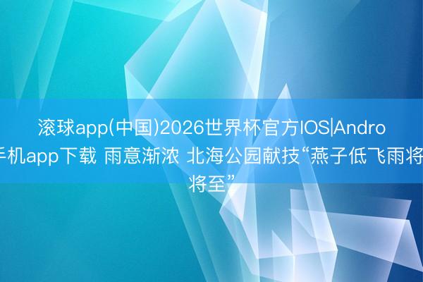 滚球app(中国)2026世界杯官方IOS|Android手机app下载 雨意渐浓 北海公园献技“燕子低飞雨将至”