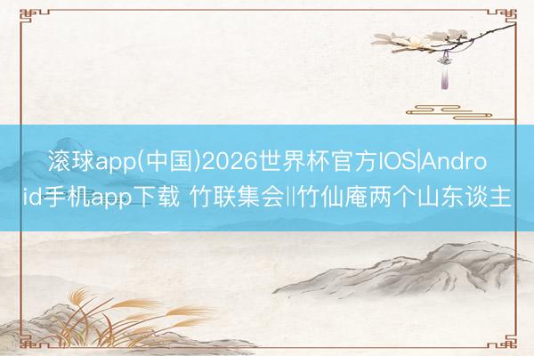 滚球app(中国)2026世界杯官方IOS|Android手机app下载 竹联集会‖竹仙庵两个山东谈主