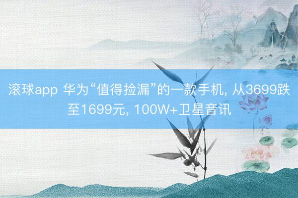 滚球app 华为“值得捡漏”的一款手机， 从3699跌至1699元， 100W+卫星音讯