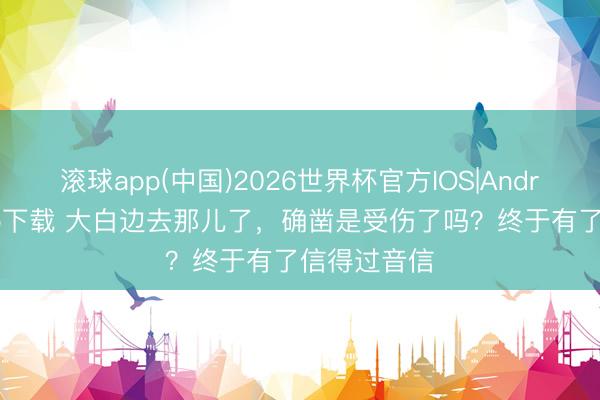 滚球app(中国)2026世界杯官方IOS|Android手机app下载 大白边去那儿了，确凿是受伤了吗？终于有了信得过音信