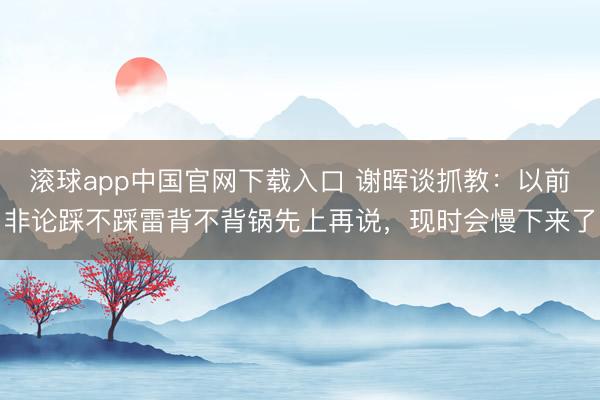 滚球app中国官网下载入口 谢晖谈抓教：以前非论踩不踩雷背不背锅先上再说，现时会慢下来了