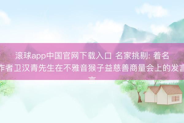 滚球app中国官网下载入口 名家挑剔: 着名作者卫汉青先生在不雅音猴子益慈善商量会上的发言