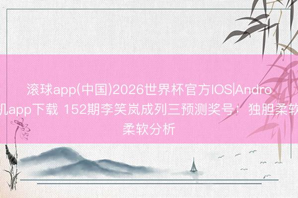 滚球app(中国)2026世界杯官方IOS|Android手机app下载 152期李笑岚成列三预测奖号：独胆柔软分析