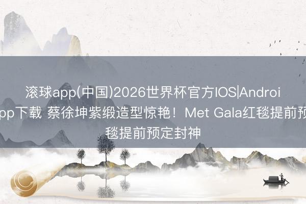 滚球app(中国)2026世界杯官方IOS|Android手机app下载 蔡徐坤紫缎造型惊艳!Met Gala红毯提前预定封神