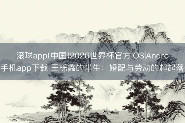 滚球app(中国)2026世界杯官方IOS|Android手机app下载 王栎鑫的半生：婚配与劳动的起起落落
