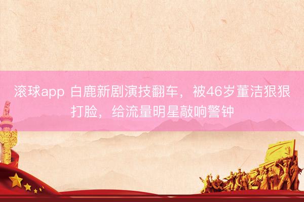 滚球app 白鹿新剧演技翻车，被46岁董洁狠狠打脸，给流量明星敲响警钟