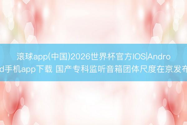 滚球app(中国)2026世界杯官方IOS|Android手机app下载 国产专科监听音箱团体尺度在京发布