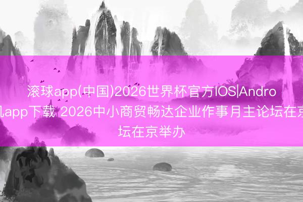 滚球app(中国)2026世界杯官方IOS|Android手机app下载 2026中小商贸畅达企业作事月主论坛在京举办