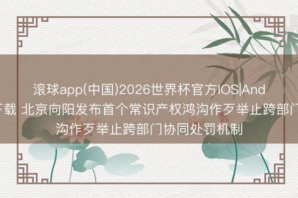 滚球app(中国)2026世界杯官方IOS|Android手机app下载 北京向阳发布首个常识产权鸿沟作歹举止跨部门协同处罚机制