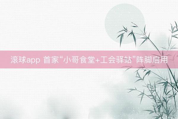 滚球app 首家“小哥食堂+工会驿站”阵脚启用