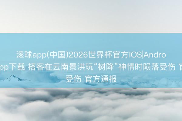 滚球app(中国)2026世界杯官方IOS|Android手机app下载 搭客在云南景洪玩“树降”神情时陨落受伤 官方通报