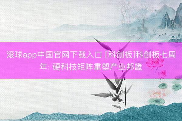 滚球app中国官网下载入口 [科创板]科创板七周年: 硬科技矩阵重塑产业邦畿