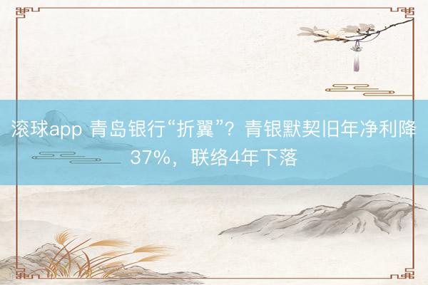 滚球app 青岛银行“折翼”？青银默契旧年净利降37%，联络4年下落