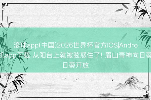 滚球app(中国)2026世界杯官方IOS|Android手机app下载 从阳台上就被眩惑住了! 眉山青神向日葵开放