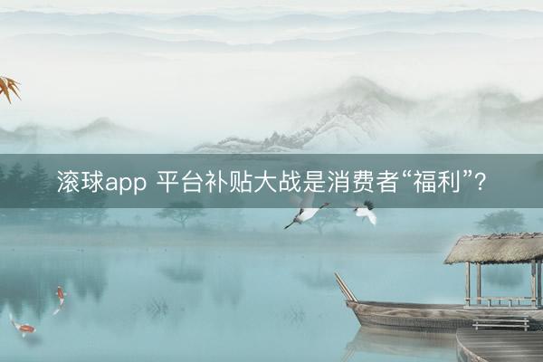 滚球app 平台补贴大战是消费者“福利”？