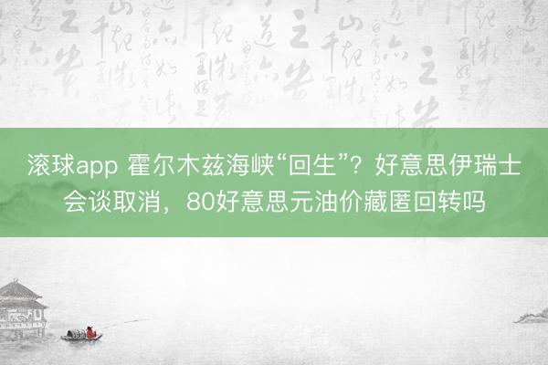 滚球app 霍尔木兹海峡“回生”？好意思伊瑞士会谈取消，80好意思元油价藏匿回转吗
