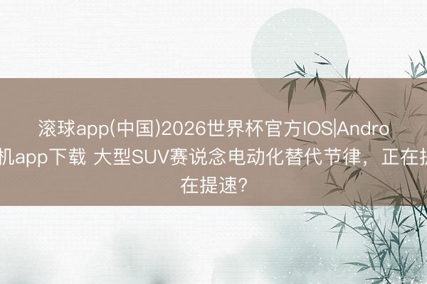 滚球app(中国)2026世界杯官方IOS|Android手机app下载 大型SUV赛说念电动化替代节律,正在提速?
