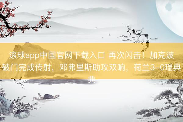 滚球app中国官网下载入口 再次闪击！加克波破门完成传射，邓弗里斯助攻双响，荷兰3-0瑞典